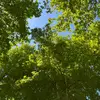 Mohammad Rammal - @mohammad.rammal08 - TikTok