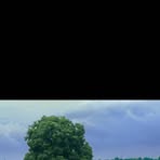 Mohammad Sadi - Facebook
