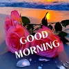 Mohammad Sajid - @mohammad.sajid6593 - TikTok