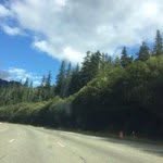 Mohammad Samman - @m.m.m.samman - Instagram