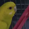 Mohammad Sarker - @mohammadsarker630 - TikTok