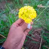 Mohammad Se Lim - @mohammad.se.lim - TikTok