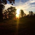 Mohammad Shihadah - @mshihadah - Instagram
