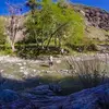 mohammadshihadah6 - @dier.dibwan - TikTok