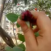 Mohammad Siddik - @mohammad.siddik30 - TikTok