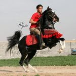 MOHAMMAD.SOLTANI - @mohammad_soltani09138657754 - Instagram