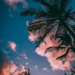 Mohammad Tabish - @mohd__tabish09 - Instagram