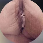 MOHAMMAD TABISH (محمد تابش) - @heytabish_ - Instagram