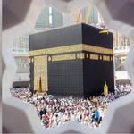 mohd talha... - @mohammad_talha_ubaid_99 - Instagram