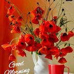 Mohammad Yaqub - @mohammad.yaqub.3551 - Instagram