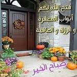 Mohammed Abutaleb - @abutaleb3135 - Instagram