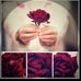 Mohammed Alajmi - Facebook