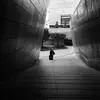 Mohammed Alemadi - @m.t1j - TikTok