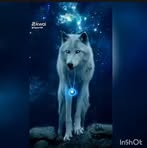 Mohammed Elahmadi - Facebook