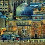 Mohammed Allan - @mohammed.allan.33 - Instagram