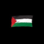 Mohammed Allan - @mohammed.hasan.5437 - Instagram