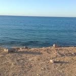 محمد الصقر - @mohammedalsager1958 - Instagram