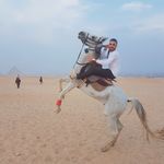 Mohammed Aly - @mohammed_aly_seif_eldine - Instagram