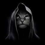 Mohammed Asmar - @mohammed.asmar.9699 - Instagram