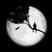 Mohammed Asmar - Facebook