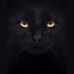 Mohammed Asmar - Facebook
