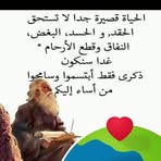 Mohammed Jada - Facebook