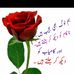 Mohammed Javed - Facebook
