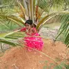Mohammed Kaleem - @mohammedkaleem906 - TikTok