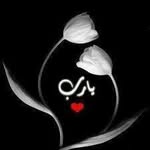 أبو حسين - @mohammedkayali1970 - Instagram