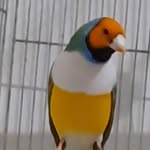 Mohammed Masri - @mohammed.masri.1276 - Instagram