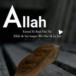 Mohammed Merchant - @nishrin70 - Instagram