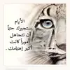 Mohammed Mossa - @mohammedmossa5 - TikTok