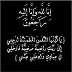 Mohammed Mounir - @mohammed.mounir_ - Instagram