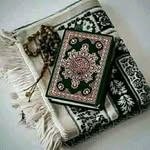 Mounir Mokhtari - @mohammed__mounir - Instagram