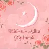 Mohammed Pasha - @mohammedpasha663 - TikTok