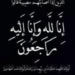 mohammed pasha - @mohammed.pasha9 - Instagram