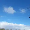 Mohammed Pasha - @mohammed.pasha49 - TikTok