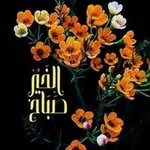 Mohammed - @moha_mmedrustum - Instagram