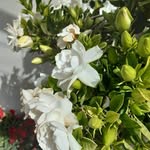 Mohammed Rustum - @hhmhwduyhabh - Instagram