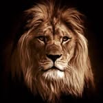 Mohammed Rustum Khan - @mohd.r.khan.5 - Instagram