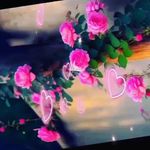 mohammed sarwar - @mohammedsarwar676 - Instagram