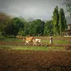 MOHAMMED.SARWAR - @MOHAMMED.SARWAR - TikTok