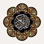 محمد شعیب - @mohammed_shoaib______ - Instagram
