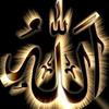 Mohammed Shoaib - @mohammedshoaib799 - TikTok