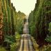 Mohammed Suhaib - Facebook