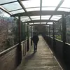 mohammed_suliman_ - @mohammed_suliman_ - TikTok