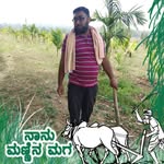 Mohammed Tajuddin Sogane - @mohammedtajuddinsogane - Instagram