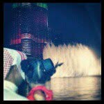 Mohammed Thani - @mt.7up - Instagram