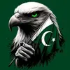 🇵🇰ajnabi🇰🇼🐅 - @mohammed.ullah268 - TikTok