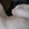 Mohammed Umair - @mohammedumair90 - TikTok